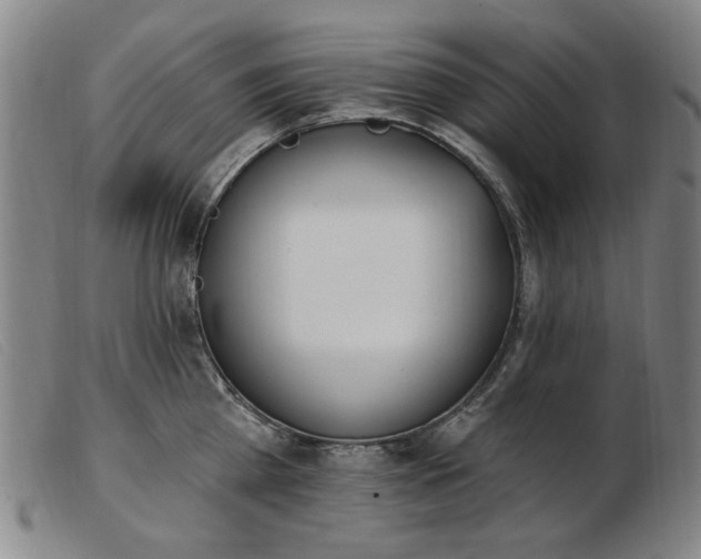 X0000103910809200809191301