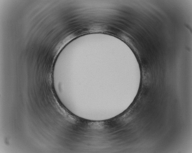 X0000103910810200809191301