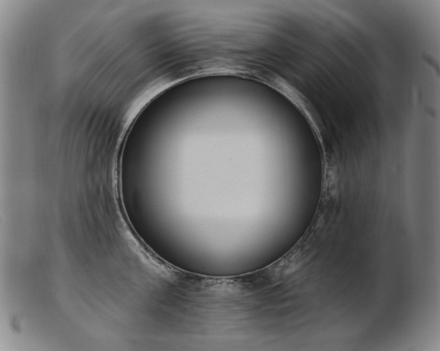X0000103910811200809191301