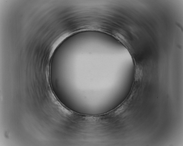 X0000103910812200809191301