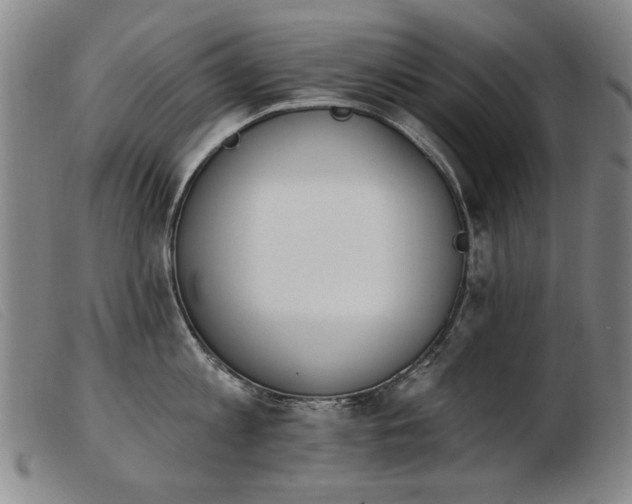 X0000103910813200809191301