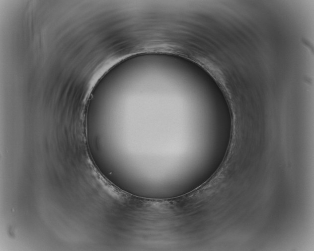 X0000103910816200809191300