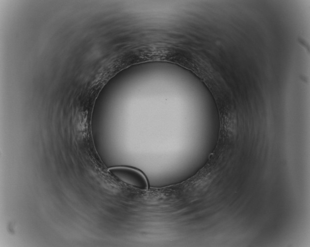 X0000103910818200809191300