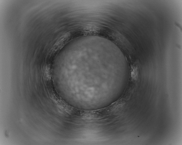 X0000103910819200809191300
