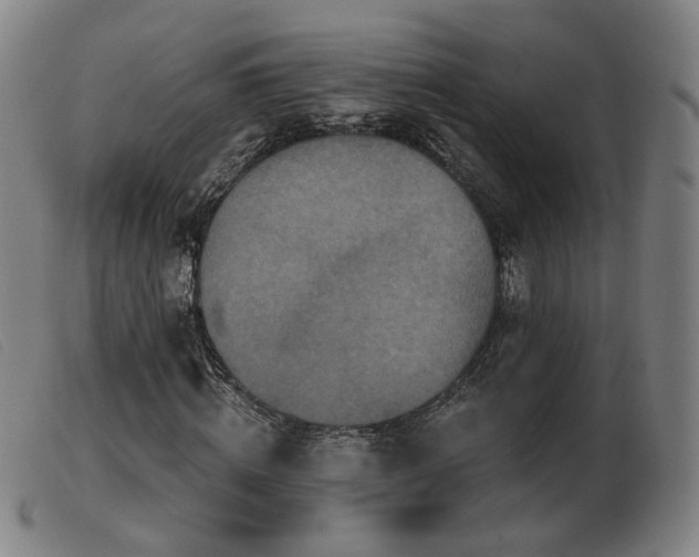 X0000103910820200809191300