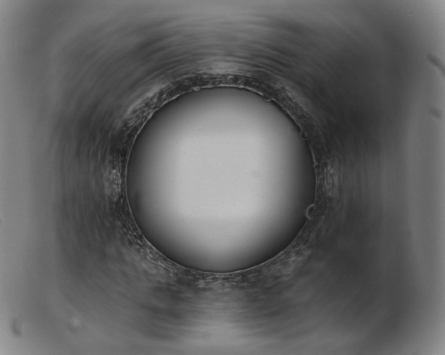 X0000103910821200809191300