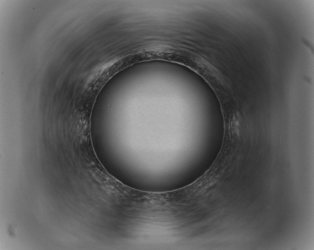 X0000103910822200809191300