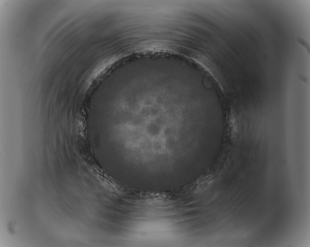 X0000103910823200809191300