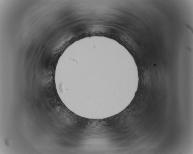 X0000103910824200809191300