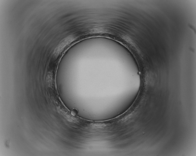 X0000103910825200809191300