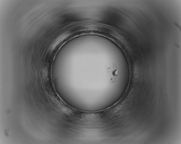 X0000103910826200809191300