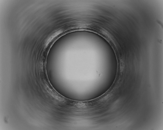 X0000103910827200809191300