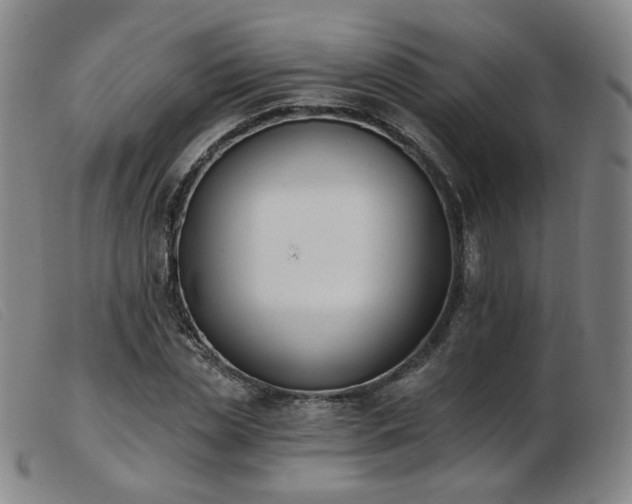 X0000103910829200809191300