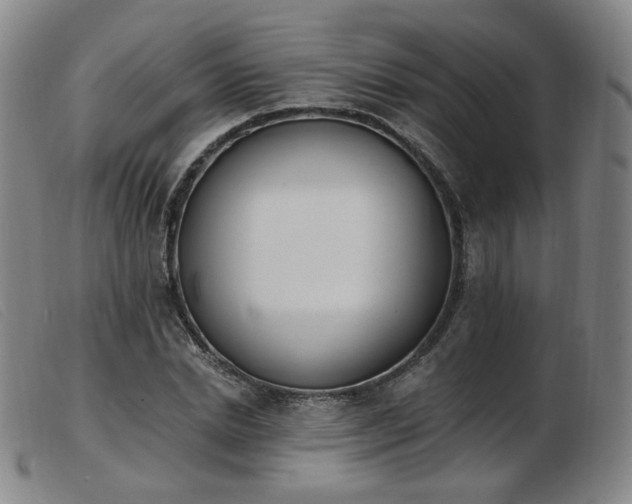 X0000103910830200809191300