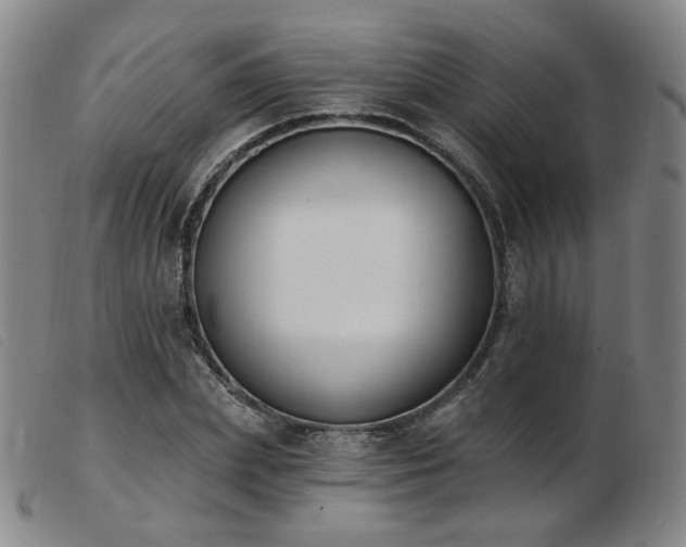 X0000103910831200809191300