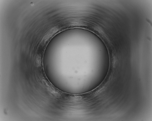 X0000103910833200809191300