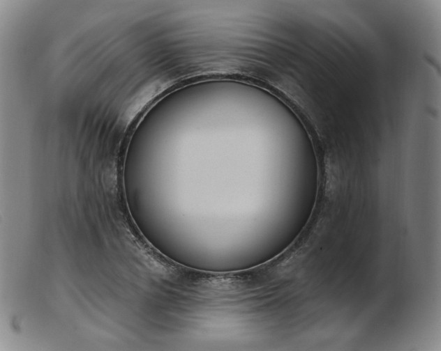 X0000103910834200809191300