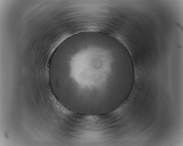 X0000103910835200809191300