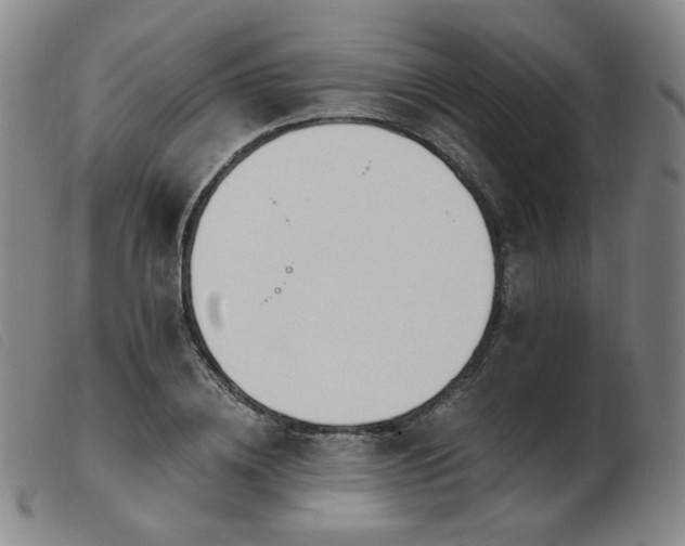 X0000103910836200809191300