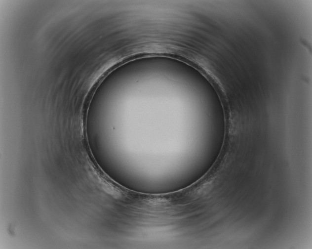 X0000103910837200809191300
