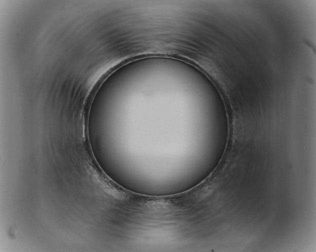 X0000103910838200809191300