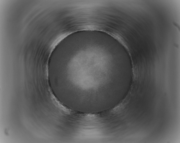 X0000103910839200809191300