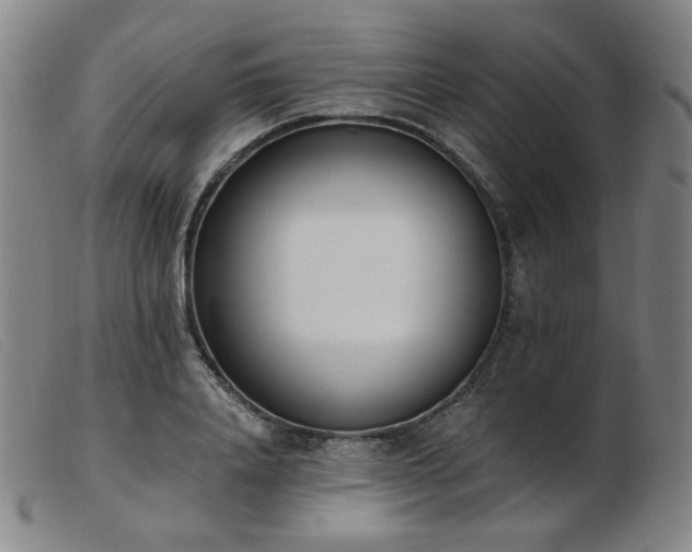X0000103910840200809191300