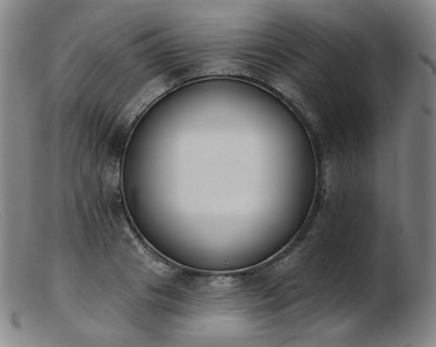 X0000103910841200809191300