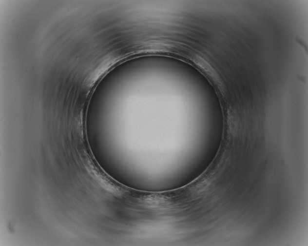 X0000103910842200809191300