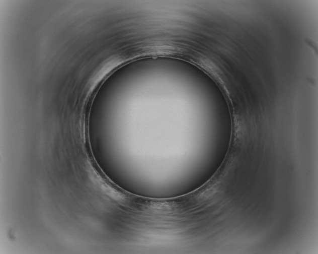 X0000103910843200809191300