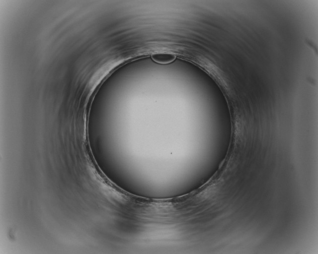 X0000103910844200809191300