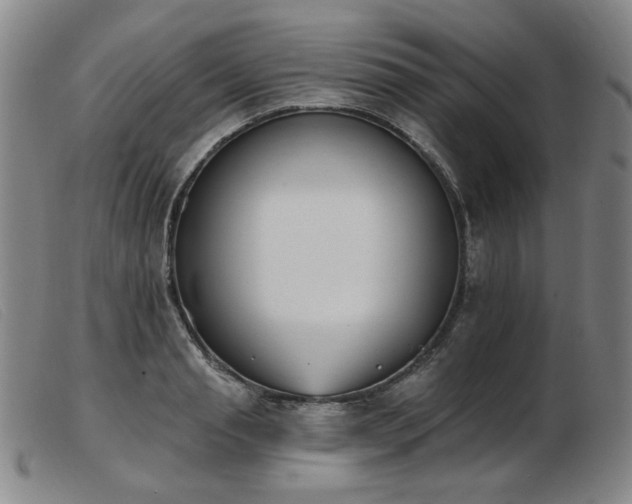 X0000103910845200809191300