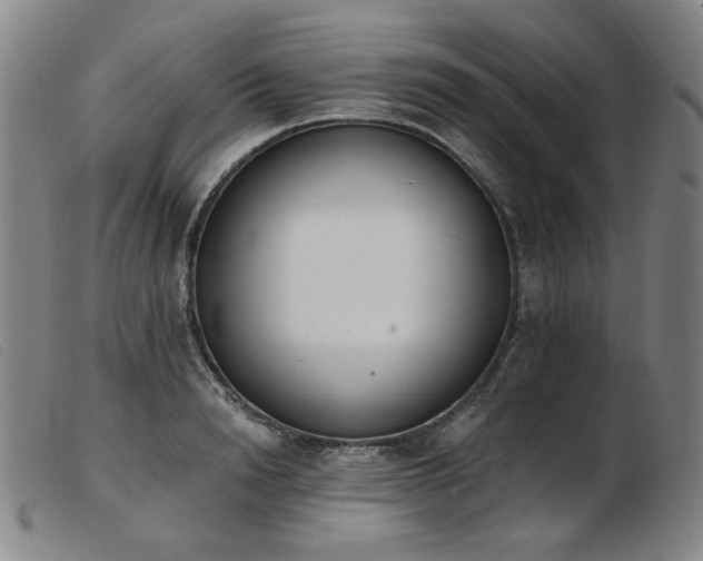 X0000103910846200809191300