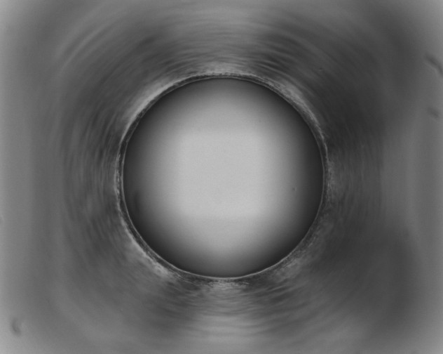 X0000103910847200809191300