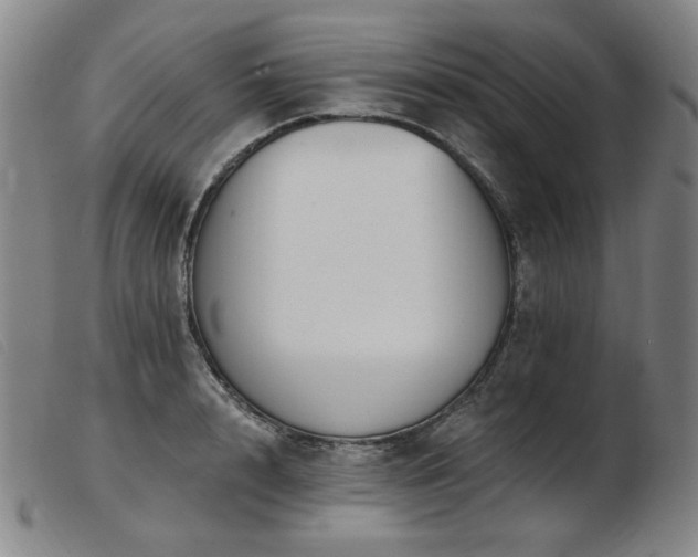 X0000103910848200809191300
