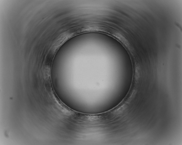 X0000103910849200809191300