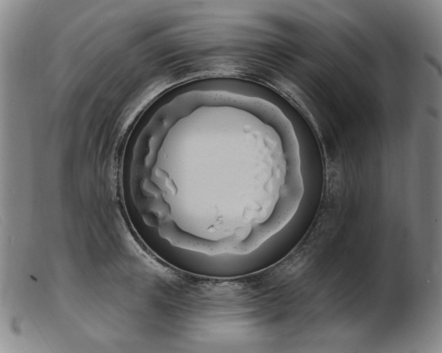 X0000103910851200809191300