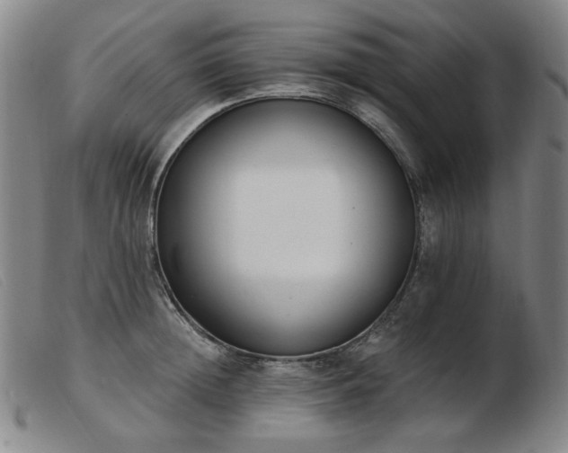 X0000103910852200809191300
