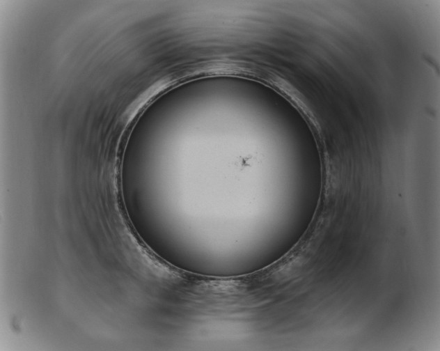 X0000103910853200809191300