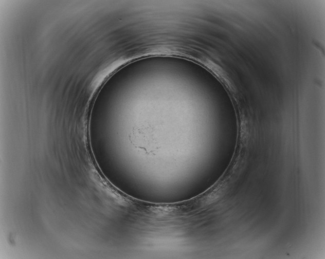 X0000103910854200809191300
