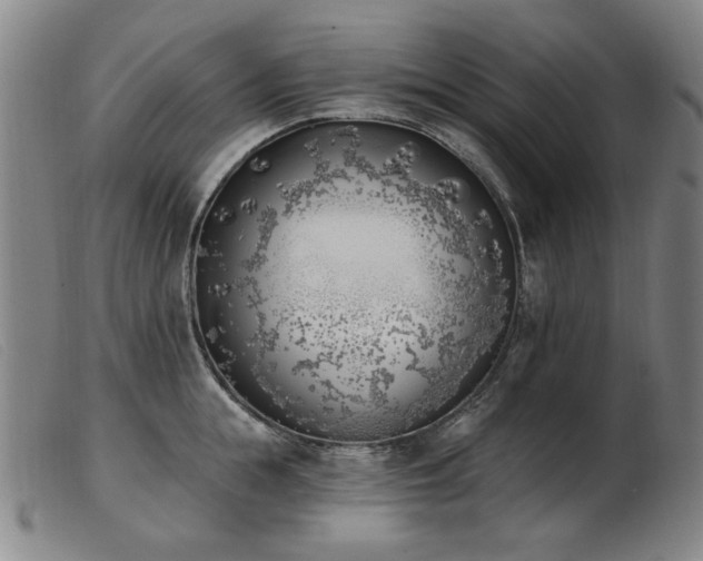 X0000103910855200809191300
