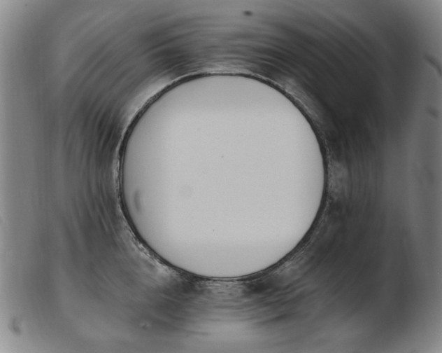 X0000103910856200809191300