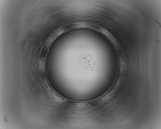 X0000103910857200809191300