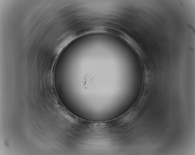 X0000103910858200809191300