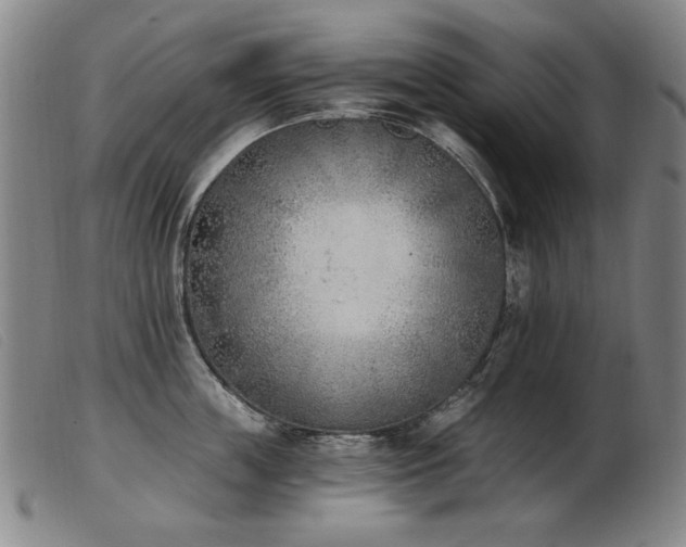 X0000103910859200809191300