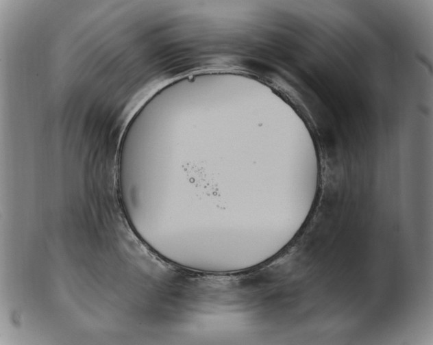 X0000103910860200809191300