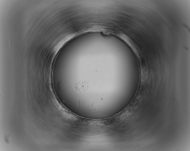X0000103910861200809191300