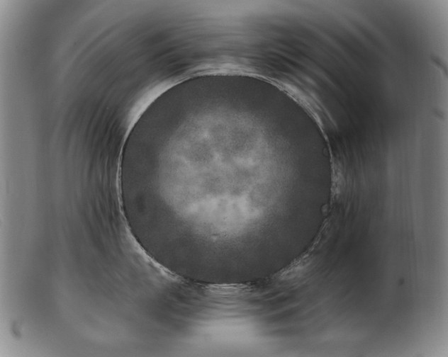 X0000103910863200809191300