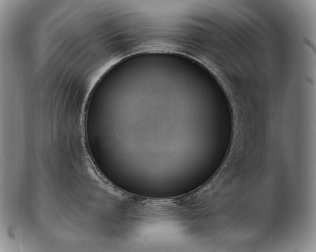 X0000103910864200809191300