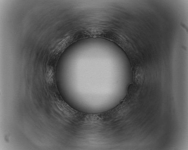 X0000103910866200809191300